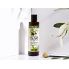 Șampon pentru uz zilnic cu ceai Matcha